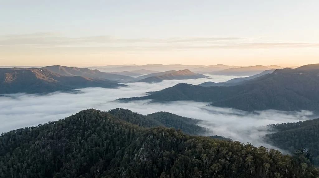 Aerial view at dawn of low fog settling between forested mountain ridgelines in regional New South Wales.